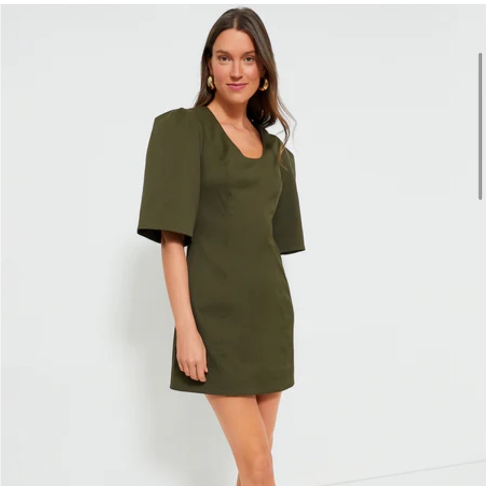 Tuckernuck Olive Mini Dress - Picture 2 of 2